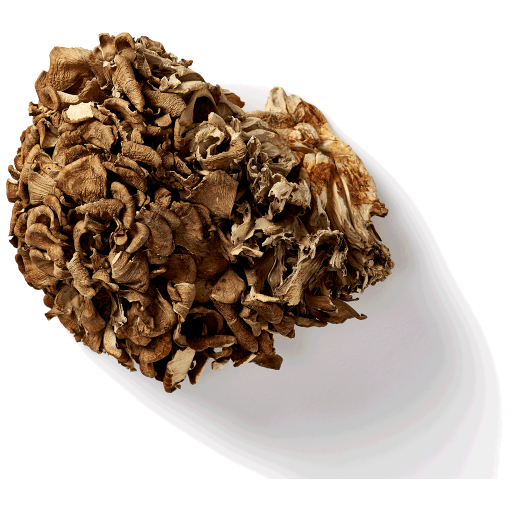 Maitake Mushroom Capsules Organic