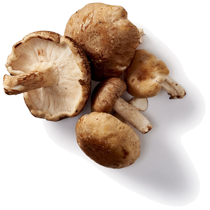 Shiitake Paddenstoelen Capsules Bio