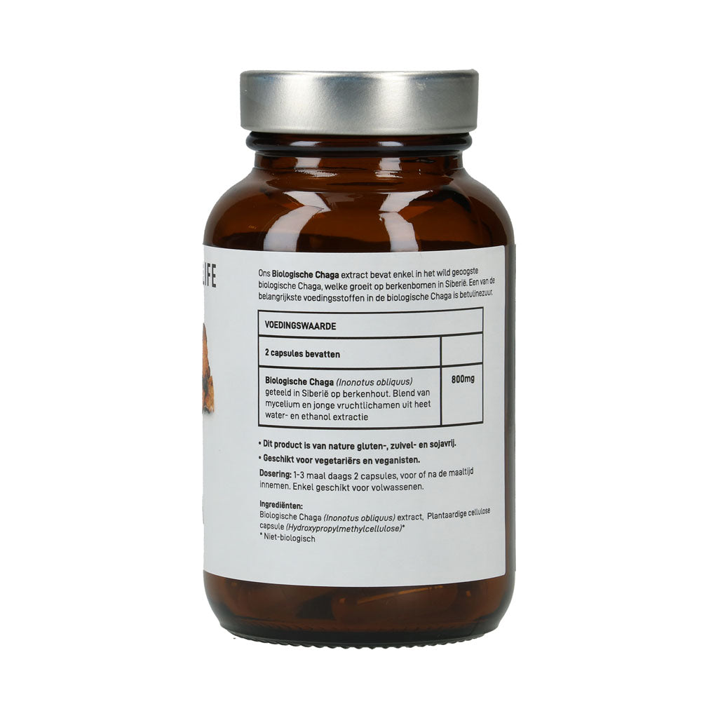 Chaga Paddenstoelen Capsules Bio