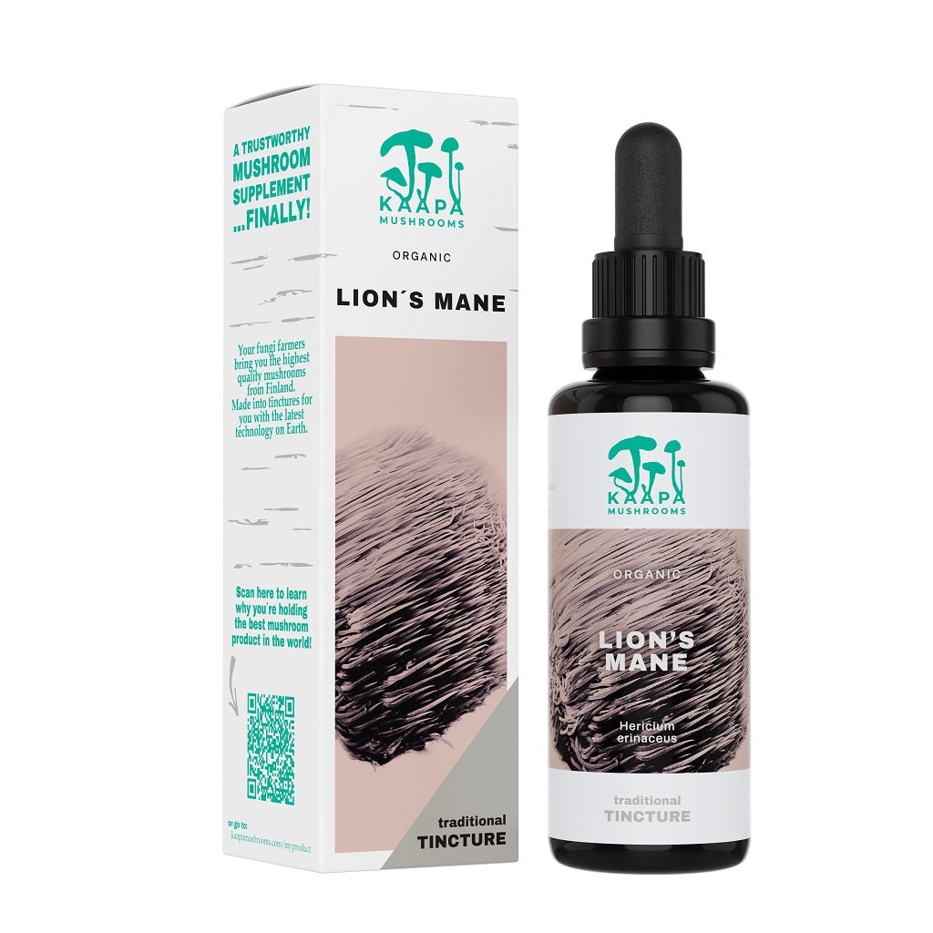 Lion's Mane Mushroom Extract Organic